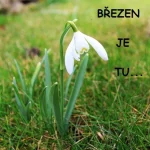 Program akcí na březen 2020