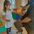 Focení s liškou COCO 1