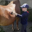 VČELKY - Den na statku 1