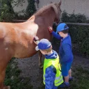 VČELKY - Den na statku 1