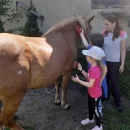 VČELKY - Den na statku 1