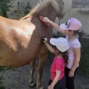 VČELKY - Den na statku 1