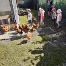 BROUČCI - DEN NA STATKU 2