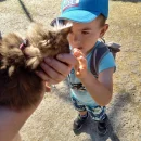 Broučci - Zlatá farma