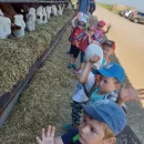 Broučci - Zlatá farma