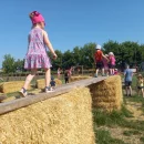 Broučci - Zlatá farma