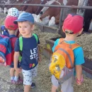 Broučci - Zlatá farma