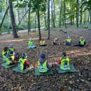 VČELKY - LESNÍ PEDAGOGIKA NA SV. KOPEČKU