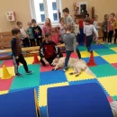 Včelky - Canisterapie