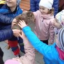 Zvířátka z farmy Ludéřov