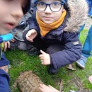 Zvířátka z farmy Ludéřov