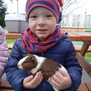 Zvířátka z farmy Ludéřov 2