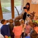 Koťátka a Včelky - Sluňákov, ekoprogram Bobřík