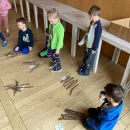 Koťátka a Včelky - Sluňákov, ekoprogram Bobřík