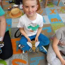 Koťátka a Včelky - Hmyzí kamarádi (edukační program)