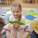 Broučci - Hmyzí kamarádi (edukační program)