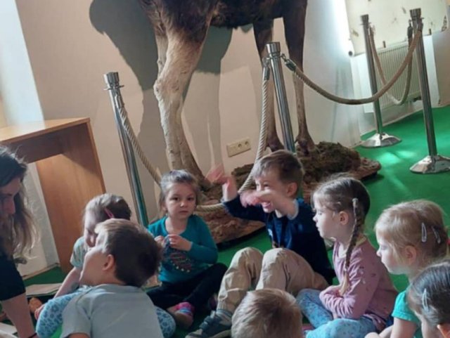 Do pohádky za zvířátky - Broučci